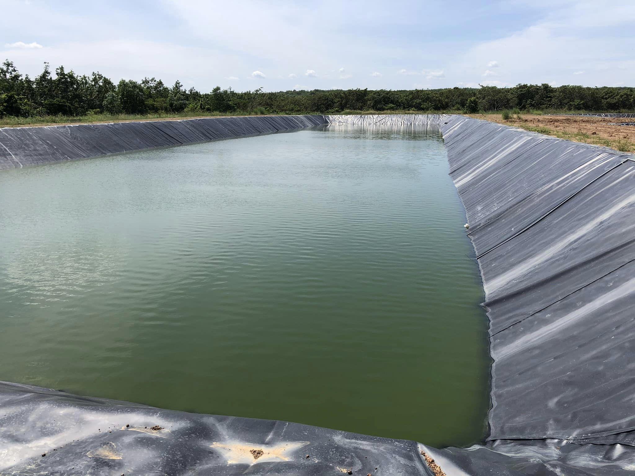 Bạt lót hồ cá HDPE chất lượng cao với bề mặt trơn nhẵn, màu đen tuyền, được cuộn tròn chuẩn bị thi công cho một dự án nuôi trồng thủy sản quy mô lớn, thể hiện rõ sự chuyên nghiệp và hiệu quả của giải pháp chống thấm hiện đại.